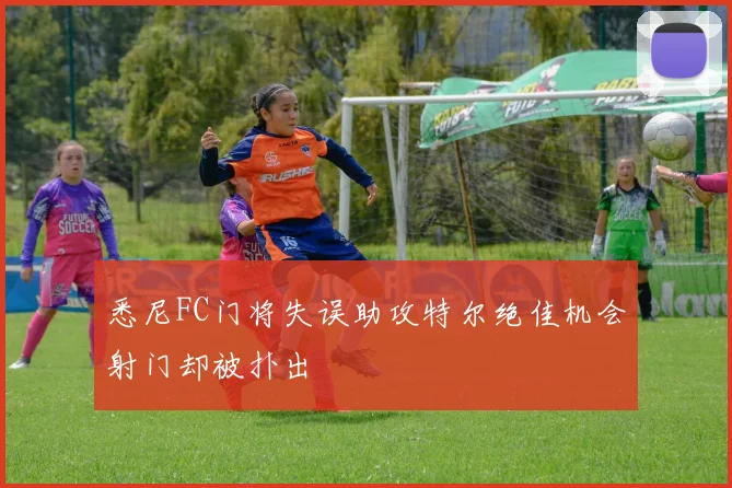 悉尼FC门将失误助攻特尔绝佳机会射门却被扑出