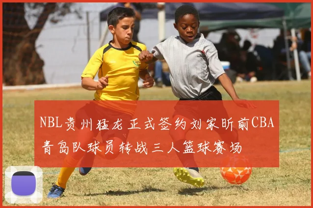 NBL贵州猛龙正式签约刘家昕前CBA青岛队球员转战三人篮球赛场